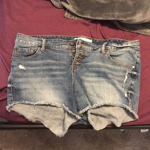 Torrid shorts